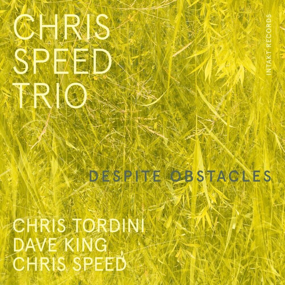 Chris Speed Trio - Despite Obstacles  CD